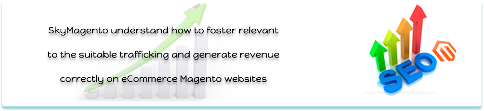 Magento SEO Services by SkyMagento Services